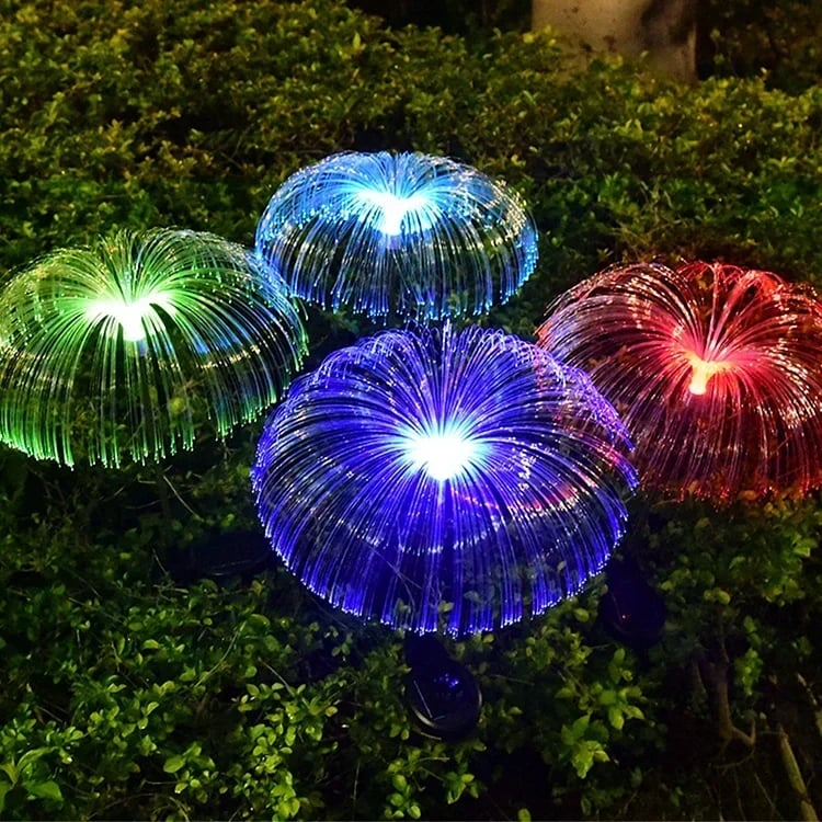 Miniatuur 2